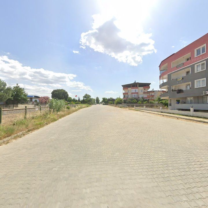 Fotoğraf 6