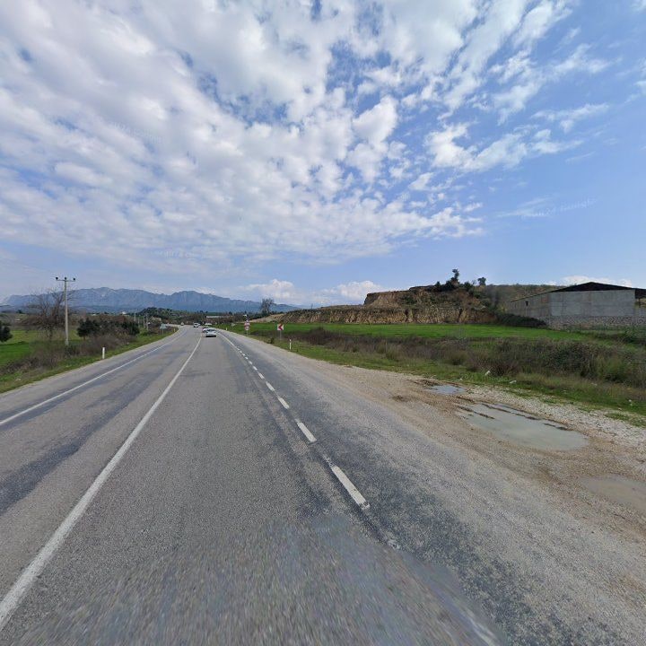 Fotoğraf 8
