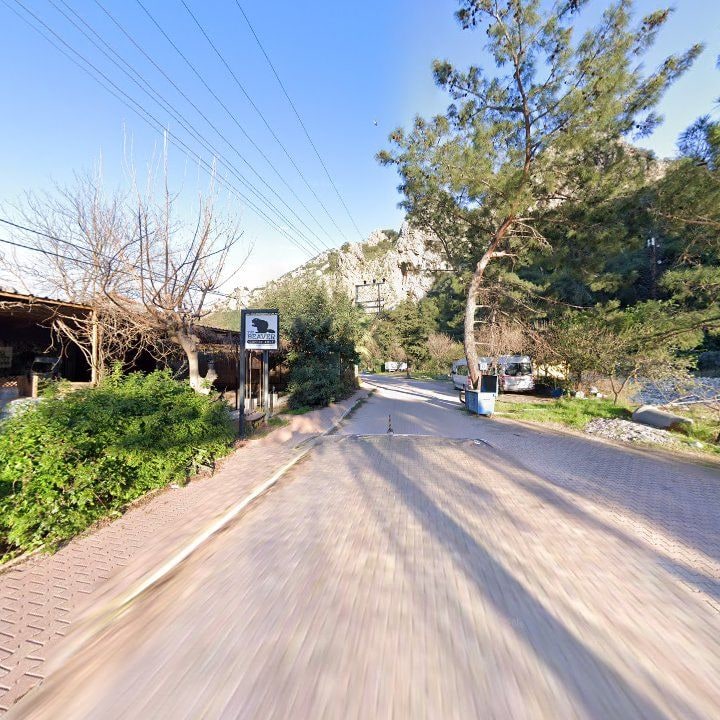 Fotoğraf 10