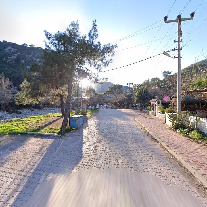 Fotoğraf 12