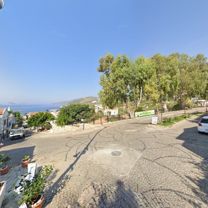 Fotoğraf 9