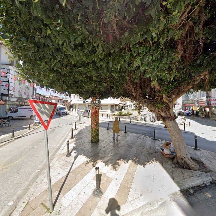 Fotoğraf 6