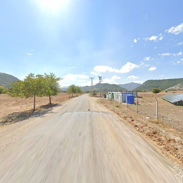 Fotoğraf 6
