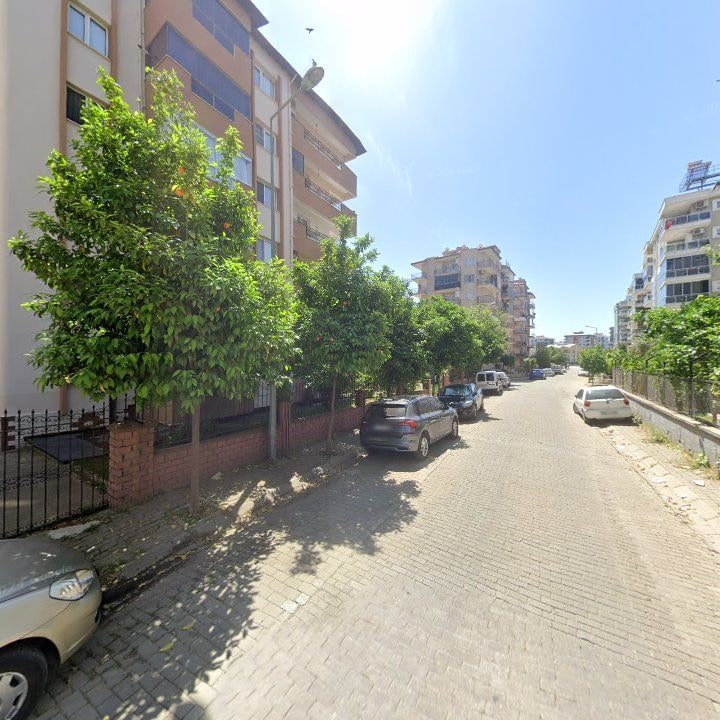 Fotoğraf 8