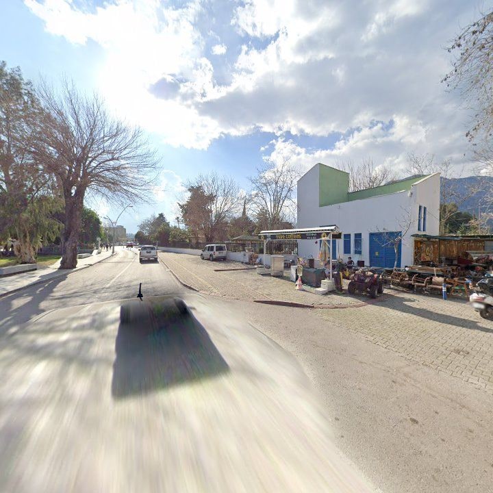 Fotoğraf 12