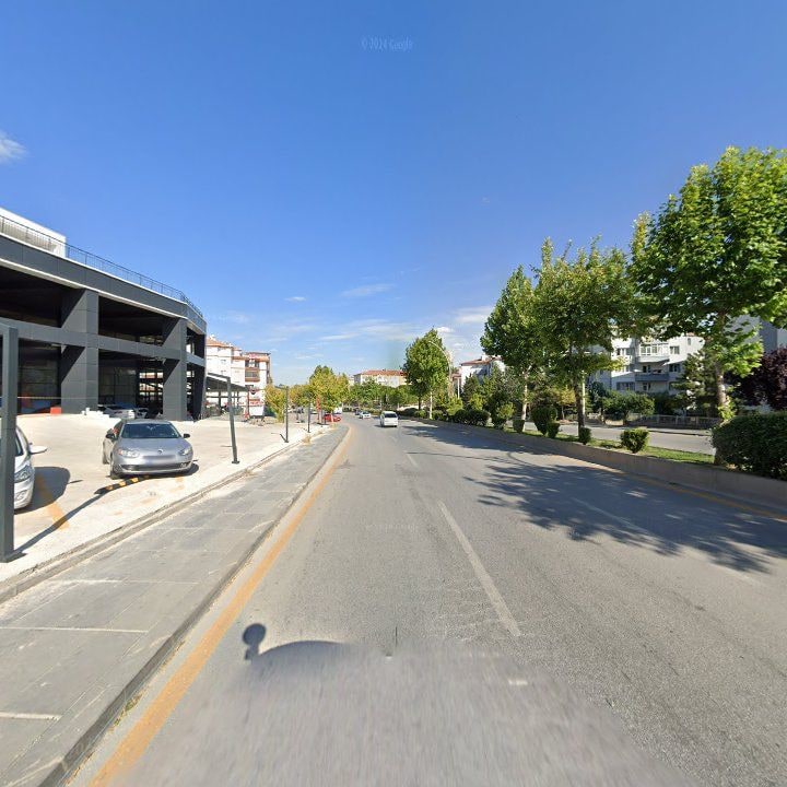 Fotoğraf 8