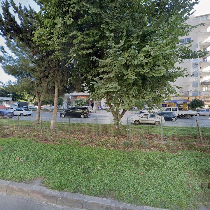 Fotoğraf 9