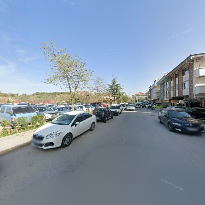 Fotoğraf 12