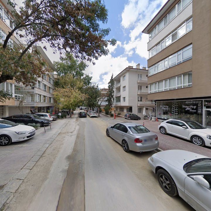 Fotoğraf 10