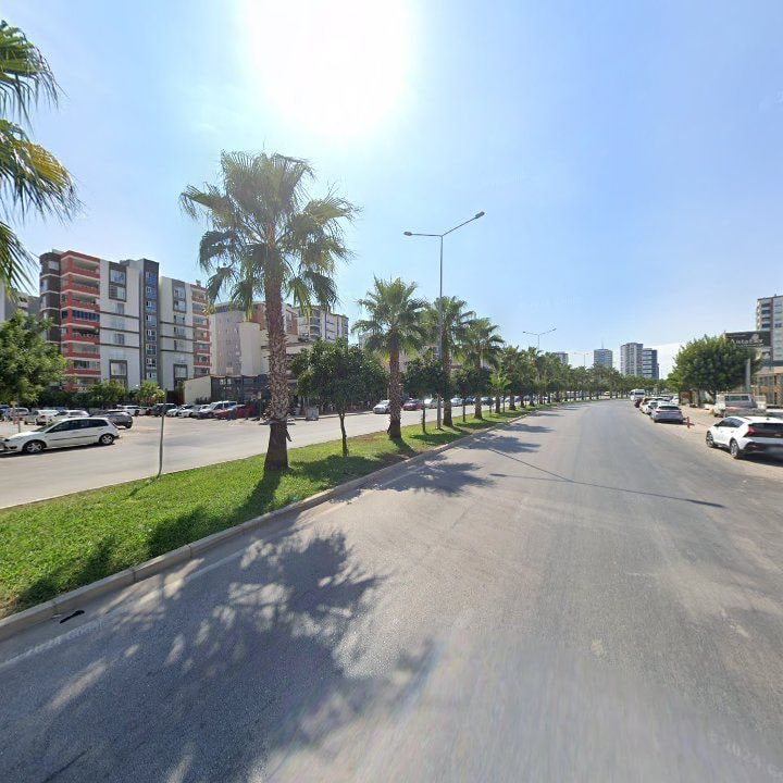 Fotoğraf 11
