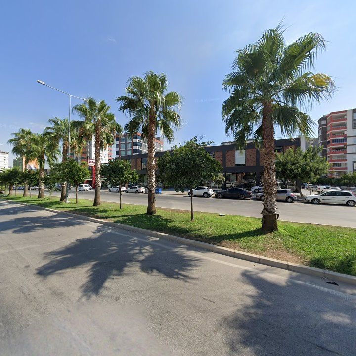 Fotoğraf 10