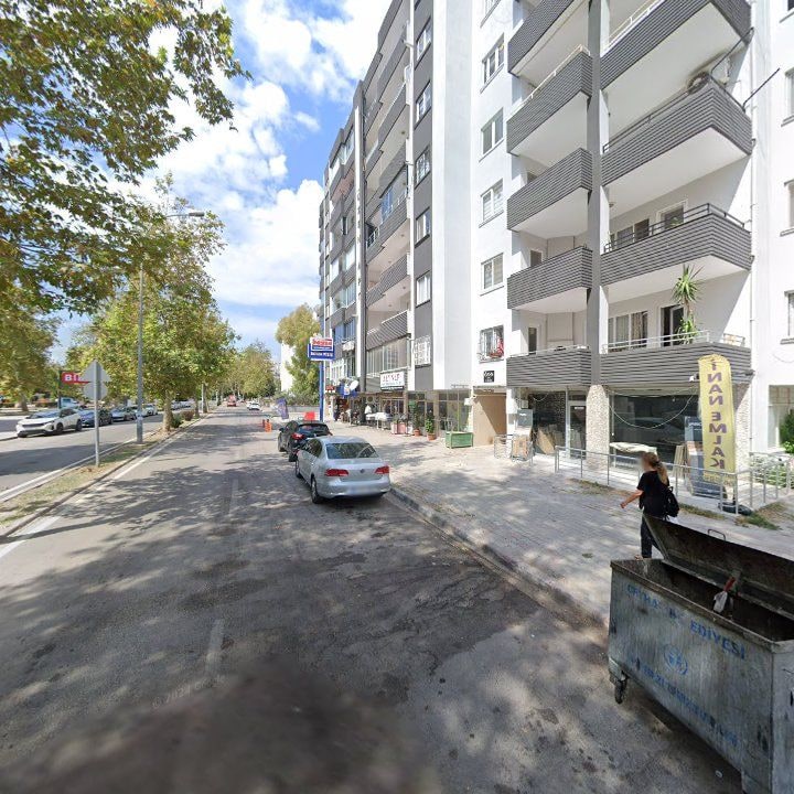 Fotoğraf 10