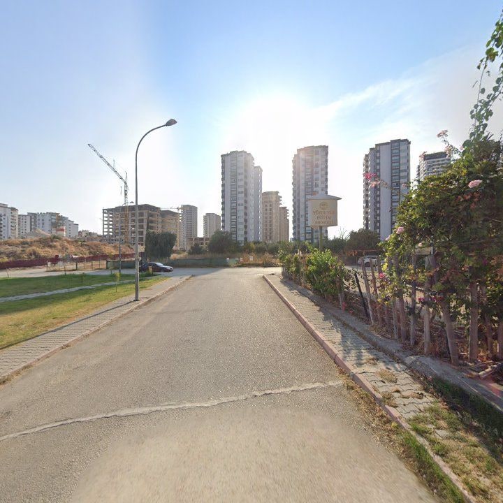 Fotoğraf 10