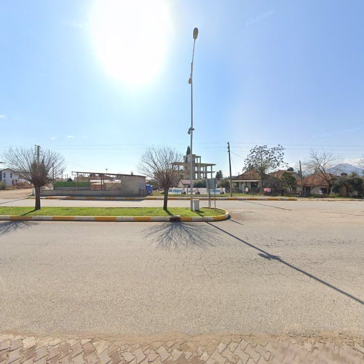 Fotoğraf 8