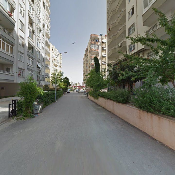 Fotoğraf 10