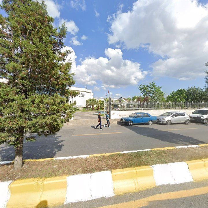 Fotoğraf 7