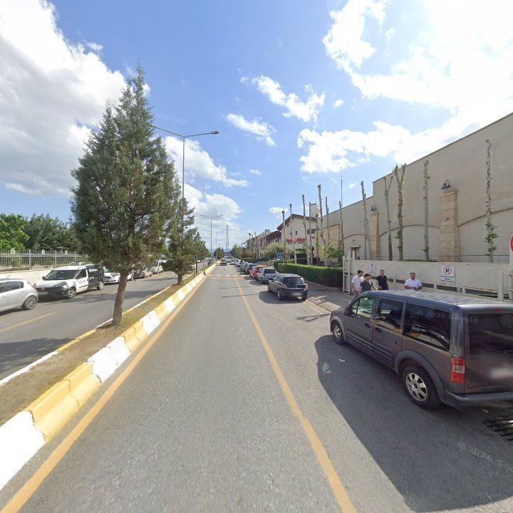 Fotoğraf 8