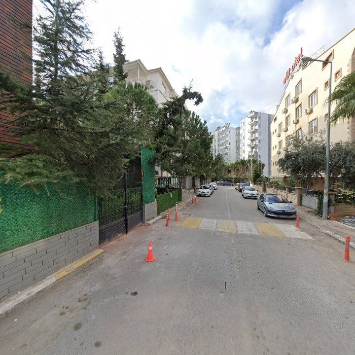 Fotoğraf 8