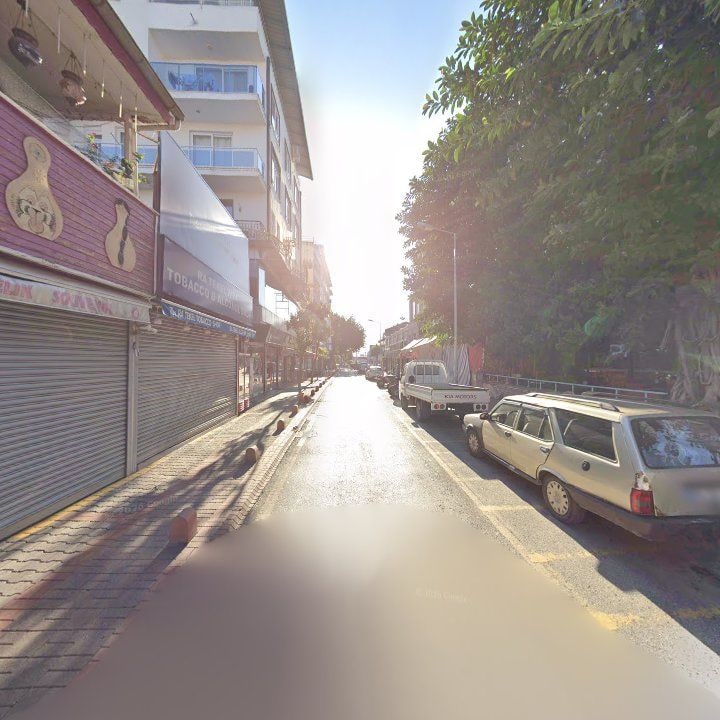 Fotoğraf 12
