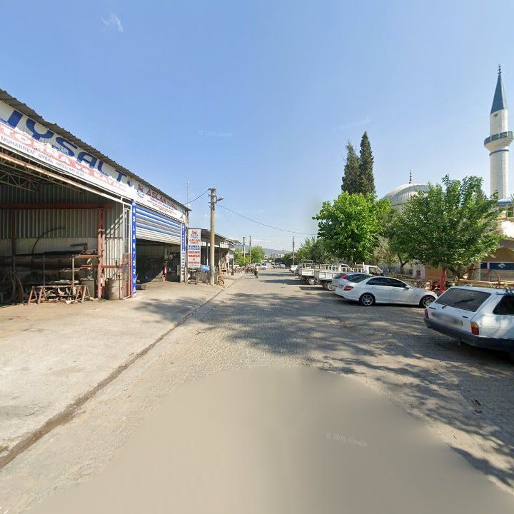 Fotoğraf 7