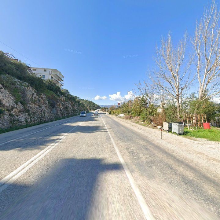 Fotoğraf 12