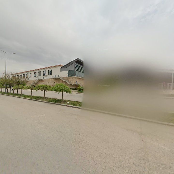 Fotoğraf 8