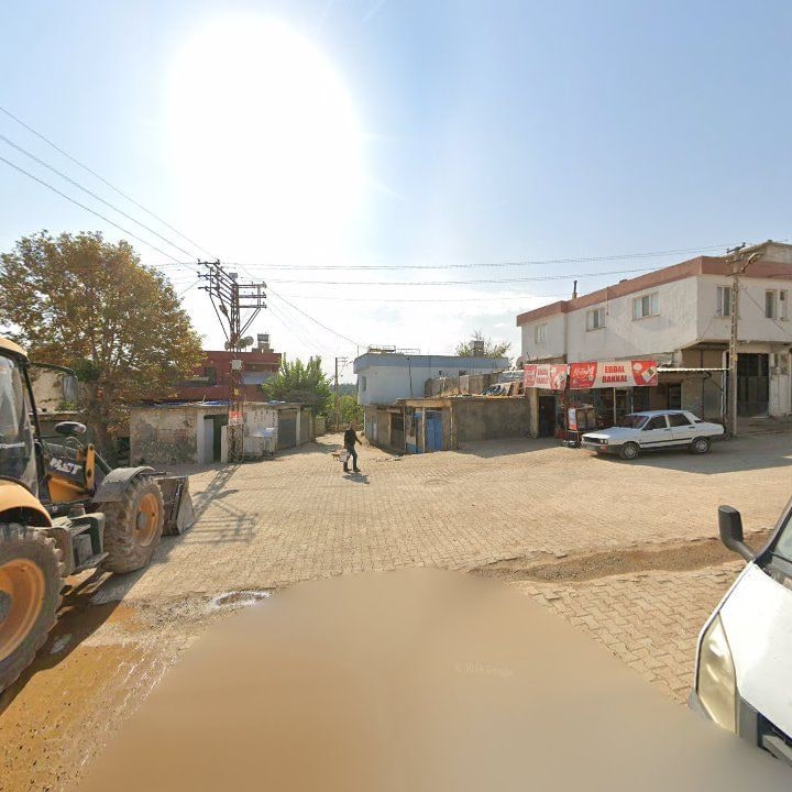 Fotoğraf 3