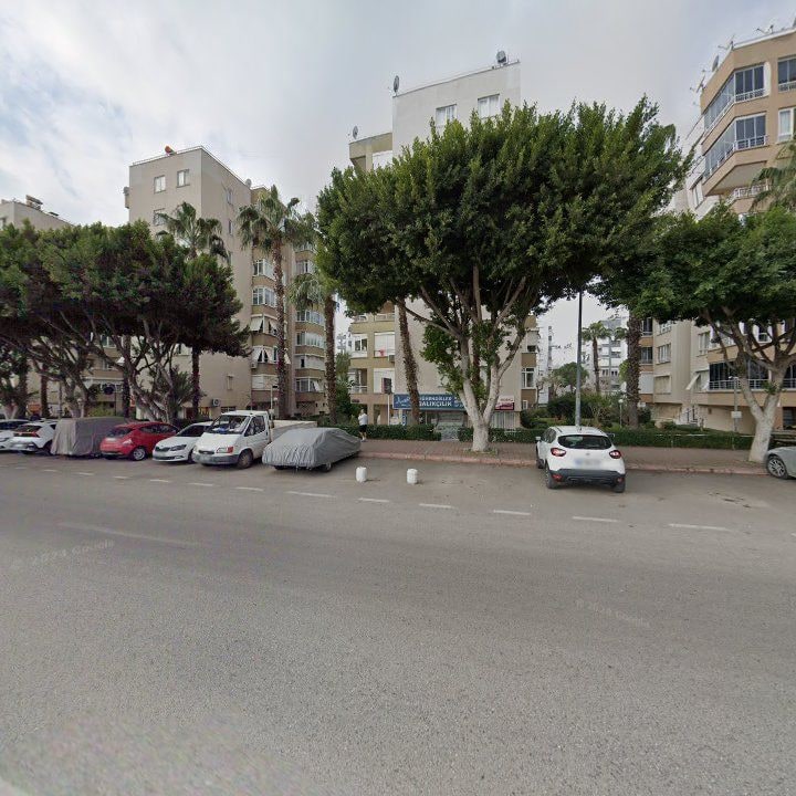 Fotoğraf 3