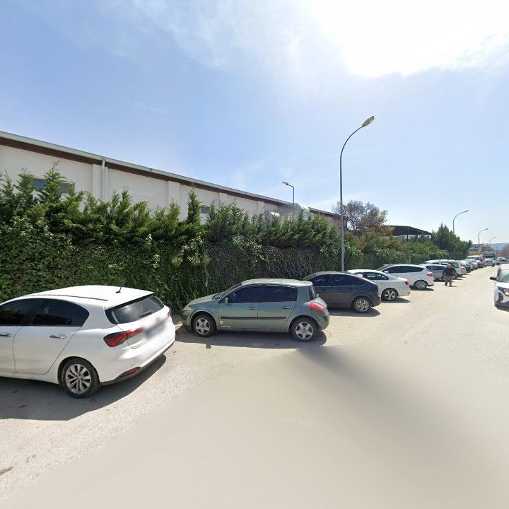Fotoğraf 10