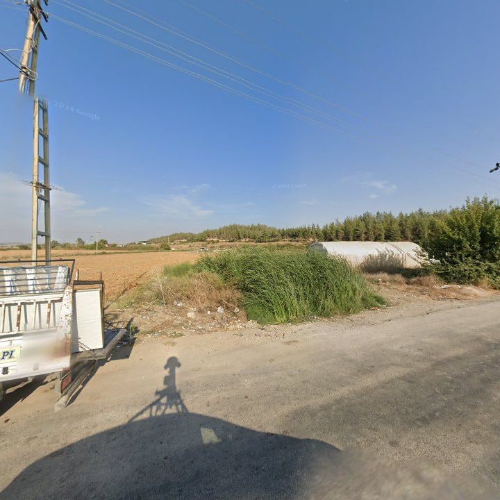 Fotoğraf 6