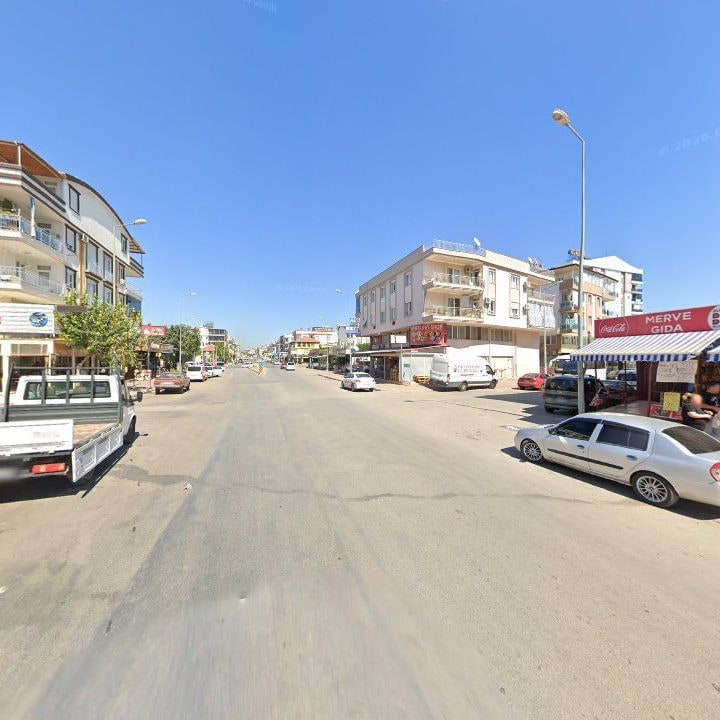 Fotoğraf 12