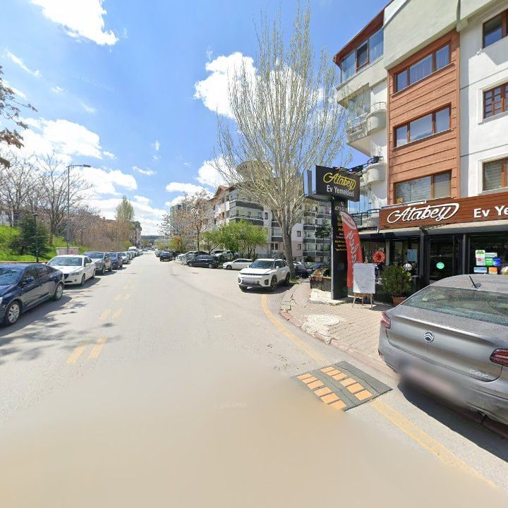 Fotoğraf 12