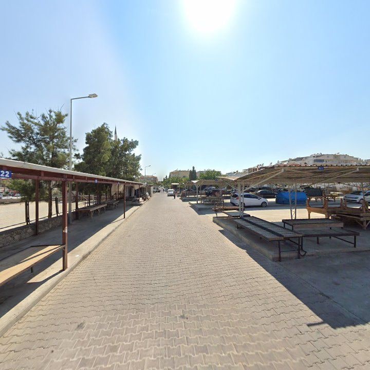 Fotoğraf 7
