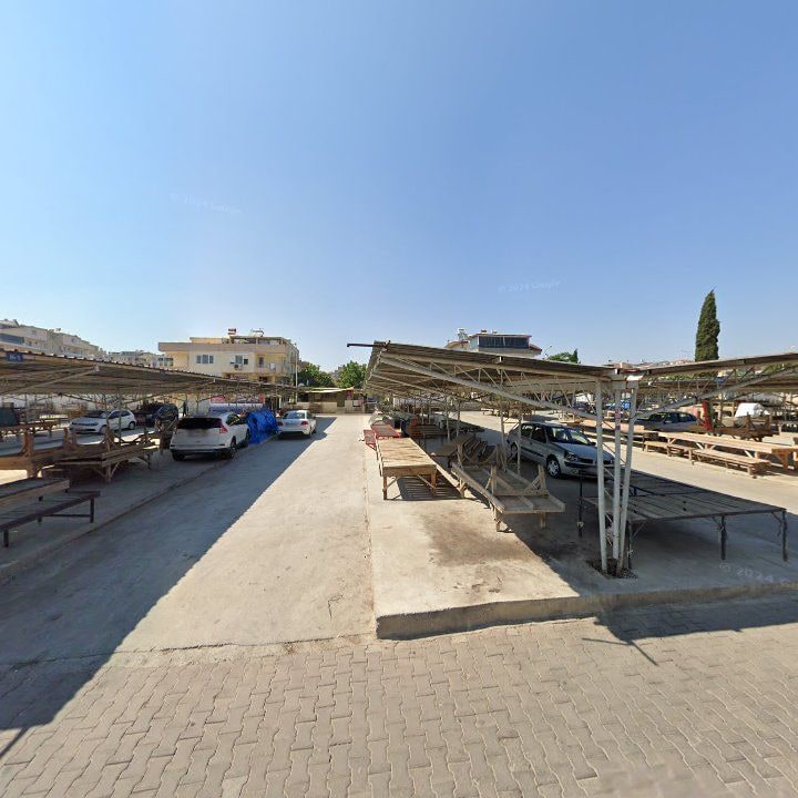 Fotoğraf 8