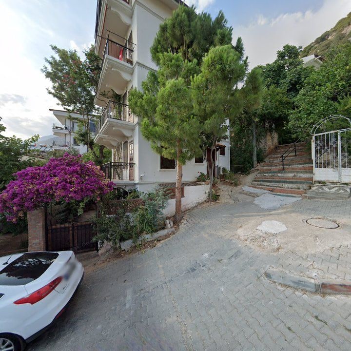 Fotoğraf 11