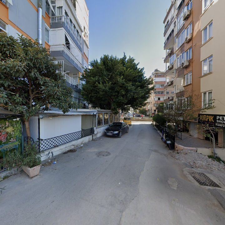 Fotoğraf 10