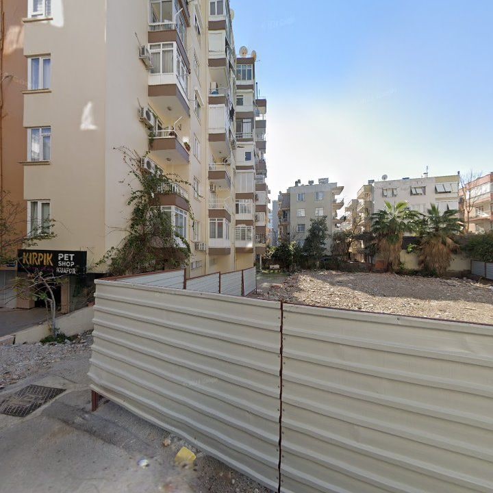 Fotoğraf 11