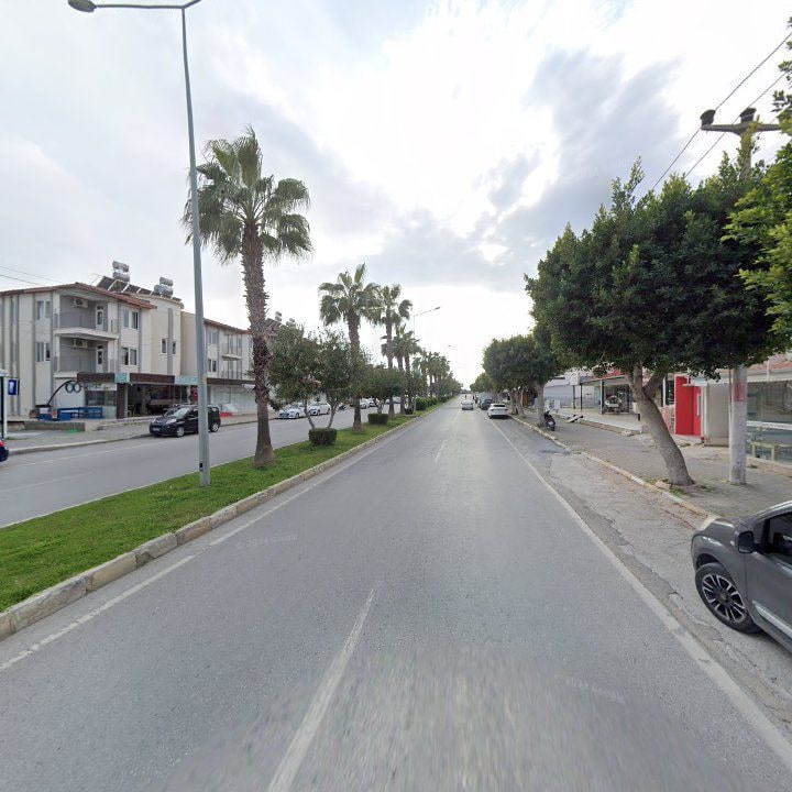 Fotoğraf 10