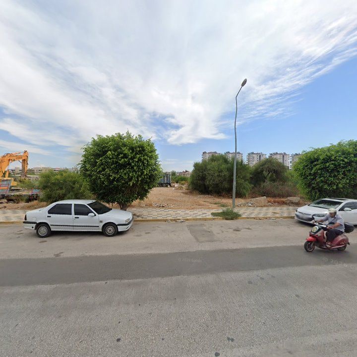 Fotoğraf 6