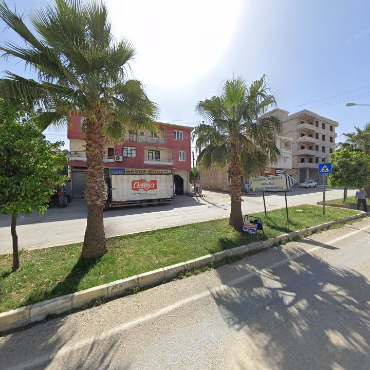Fotoğraf 7