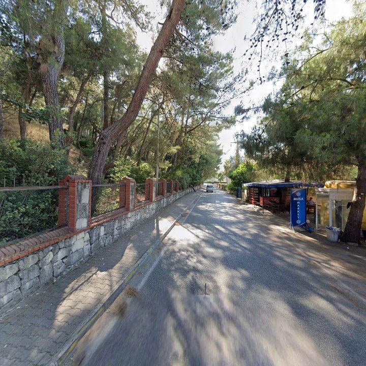 Fotoğraf 7