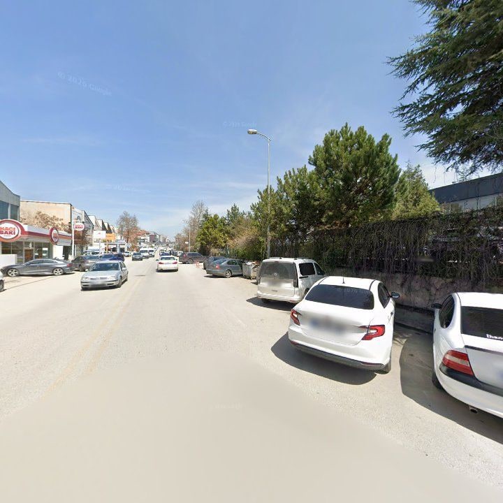 Fotoğraf 7