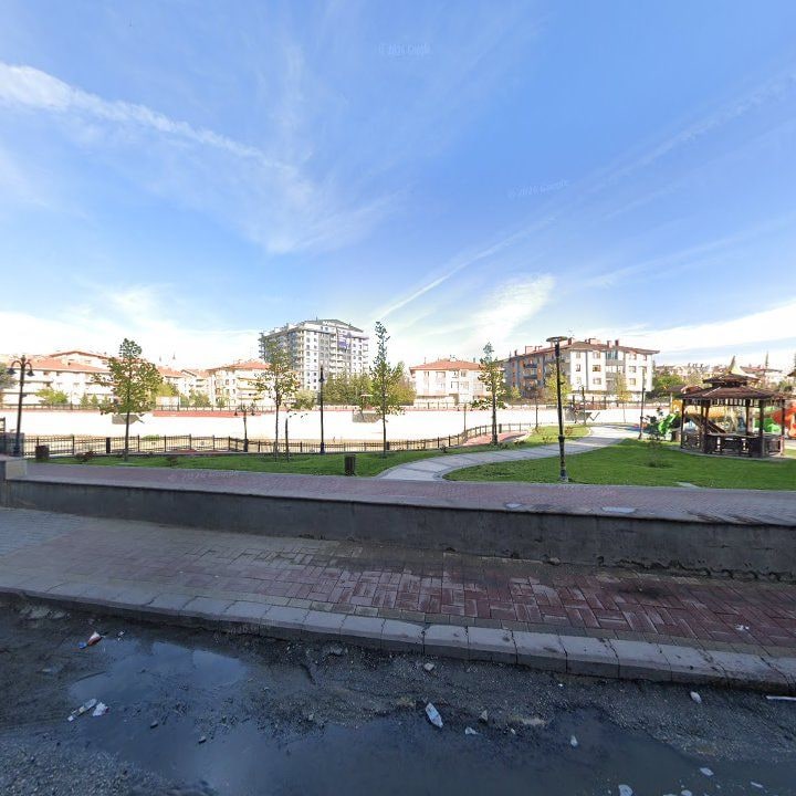 Fotoğraf 9