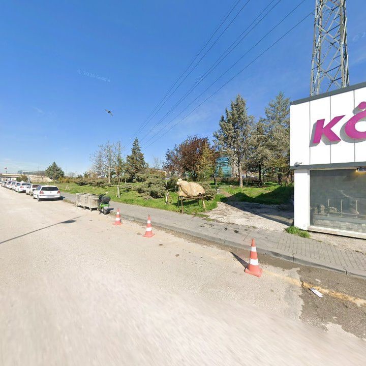 Fotoğraf 11