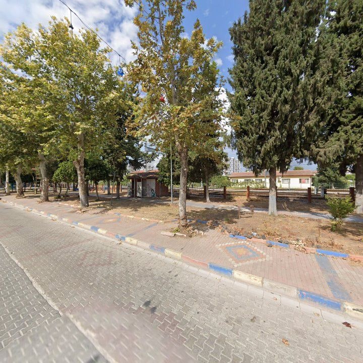 Fotoğraf 7