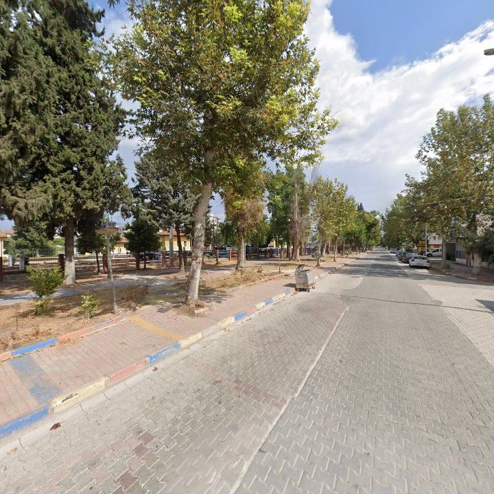 Fotoğraf 8