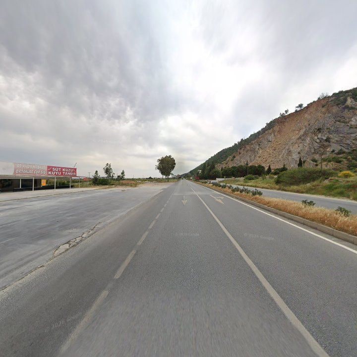 Fotoğraf 9