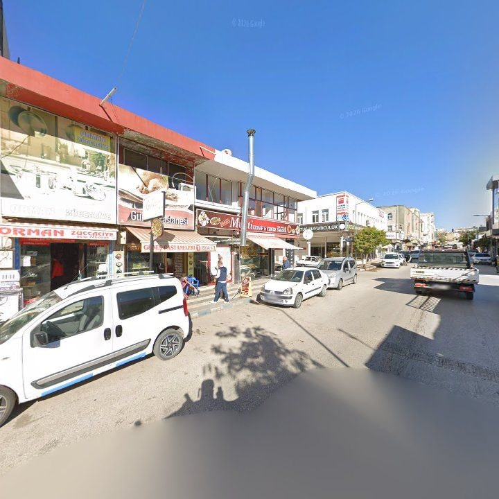 Musti Kızarmış Tüm Tavuk, Kebap Salonu Ve Yemekçilik