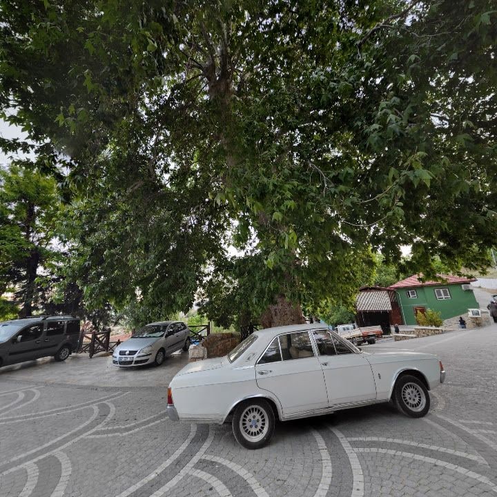 Fotoğraf 7