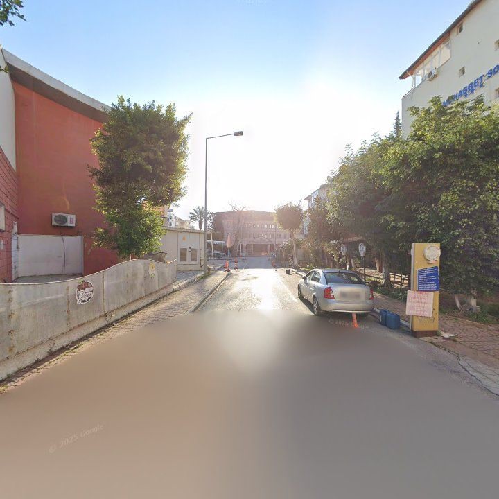 Fotoğraf 12